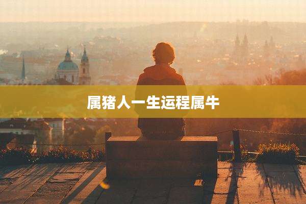 属猪人一生运程属牛