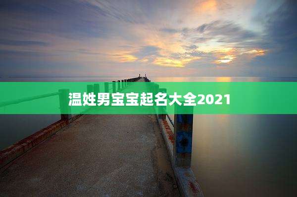 温姓男宝宝起名大全2021