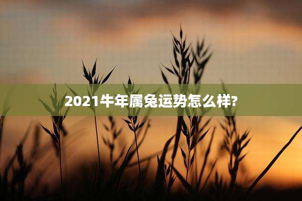 2021牛年属兔运势怎么样?