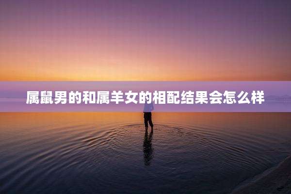 属鼠男的和属羊女的相配结果会怎么样