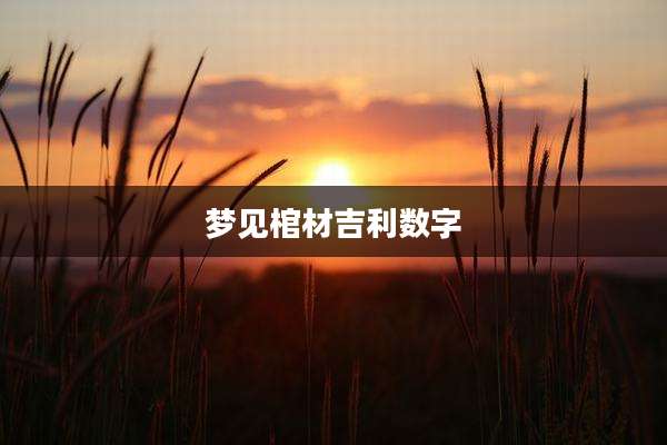 梦见棺材吉利数字