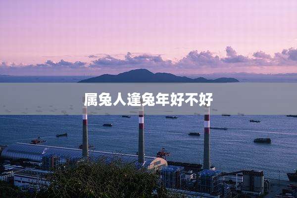 属兔人逢兔年好不好