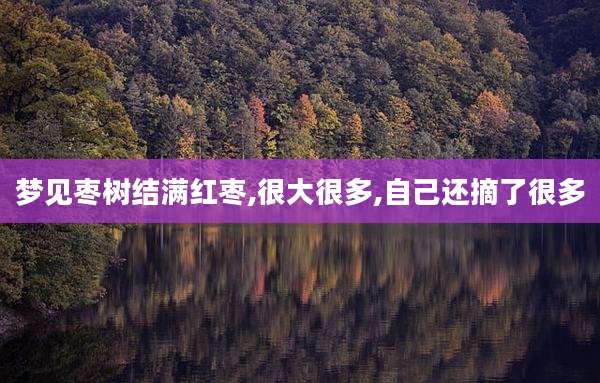 梦见枣树结满红枣,很大很多,自己还摘了很多