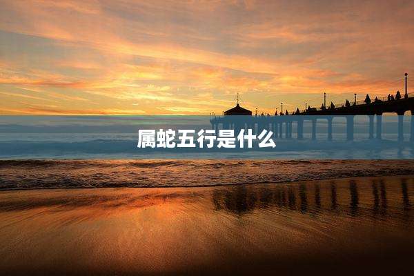 属蛇五行是什么
