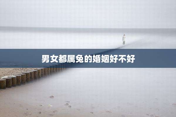 男女都属兔的婚姻好不好