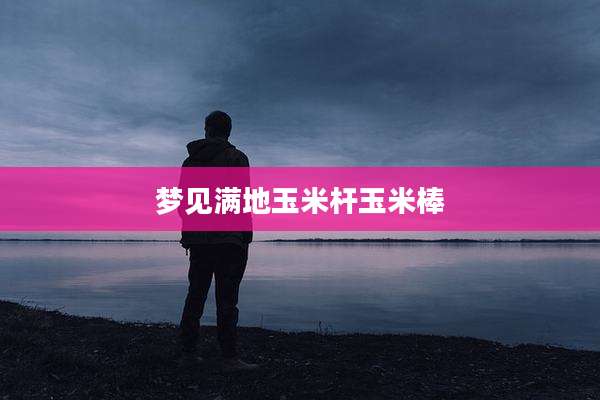 梦见满地玉米杆玉米棒