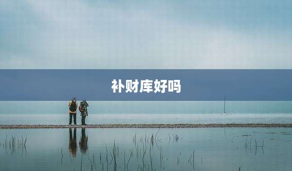 补财库好吗