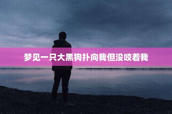 梦见一只大黑狗扑向我但没咬着我
