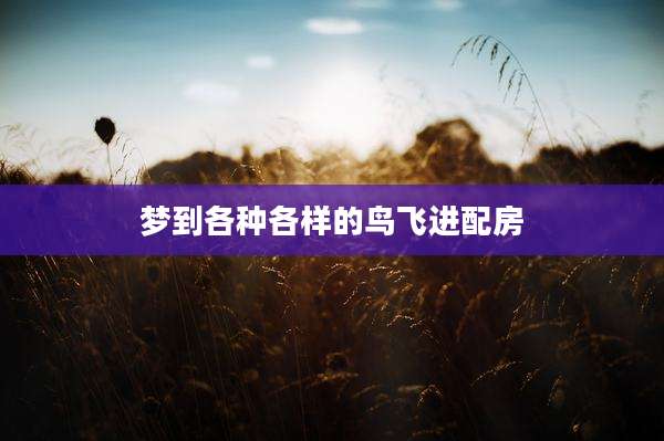 梦到各种各样的鸟飞进配房