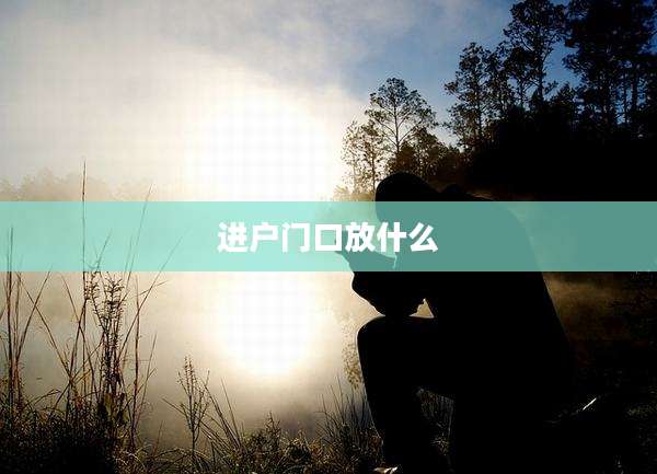 进户门口放什么