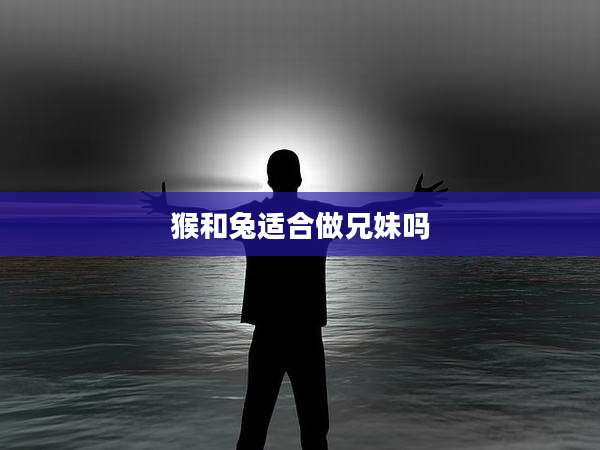 猴和兔适合做兄妹吗