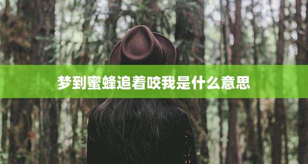 梦到蜜蜂追着咬我是什么意思