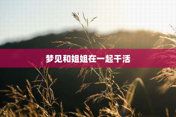 梦见和姐姐在一起干活