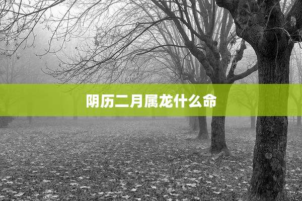 阴历二月属龙什么命