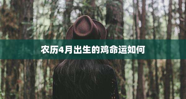 农历4月出生的鸡命运如何