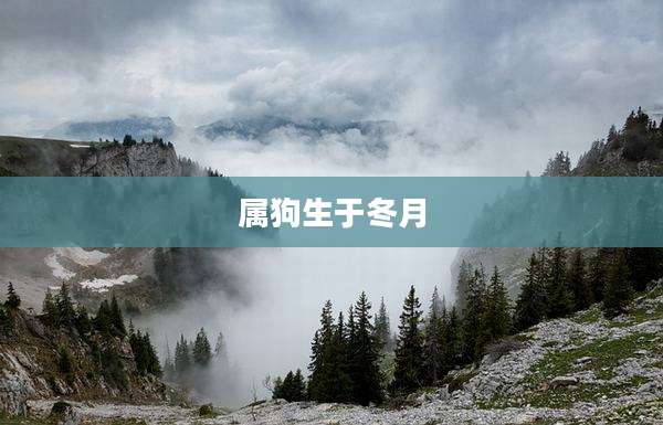 属狗生于冬月