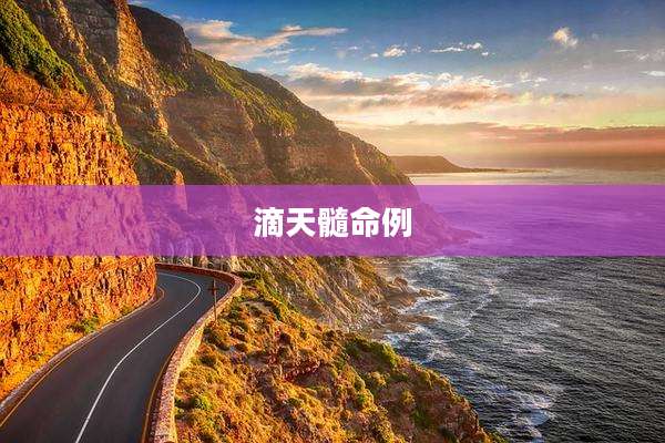 滴天髓命例