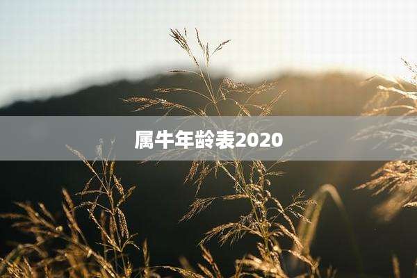 属牛年龄表2020