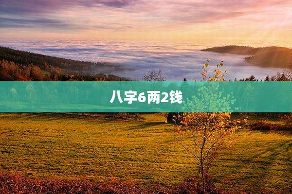 八字6两2钱