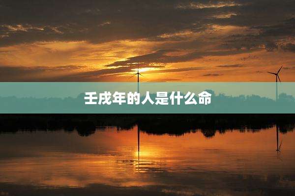 壬戌年的人是什么命