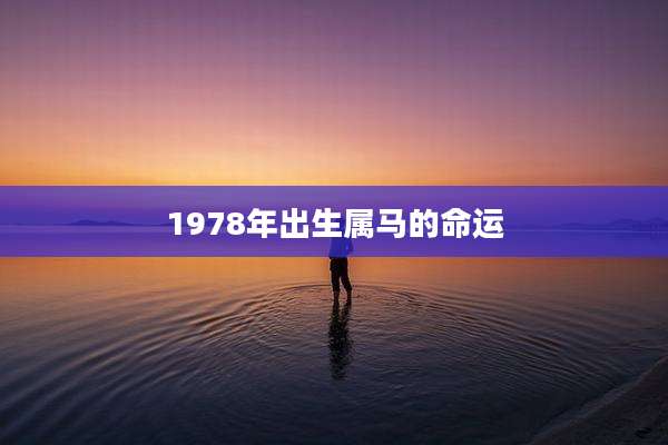 1978年出生属马的命运