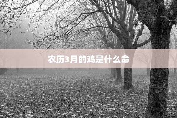 农历3月的鸡是什么命
