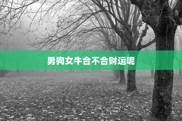 男狗女牛合不合财运呢