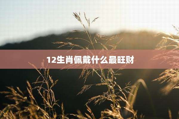 12生肖佩戴什么最旺财