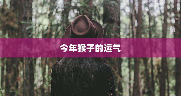今年猴子的运气