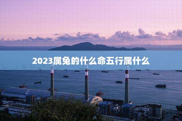 2023属兔的什么命五行属什么