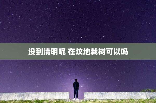 没到清明呢 在坟地栽树可以吗