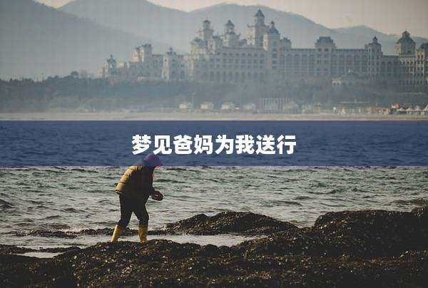 梦见爸妈为我送行