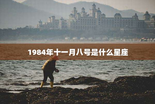 1984年十一月八号是什么星座