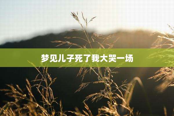梦见儿子死了我大哭一场