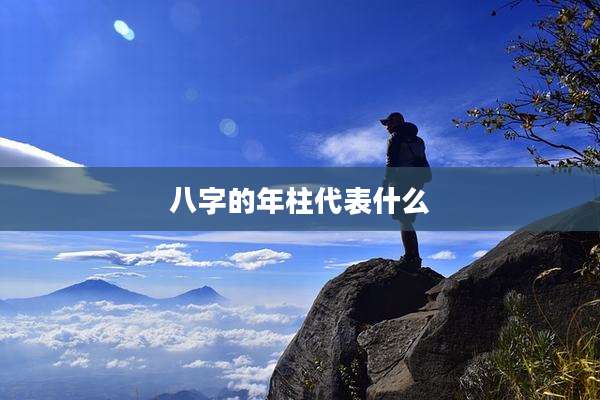 八字的年柱代表什么