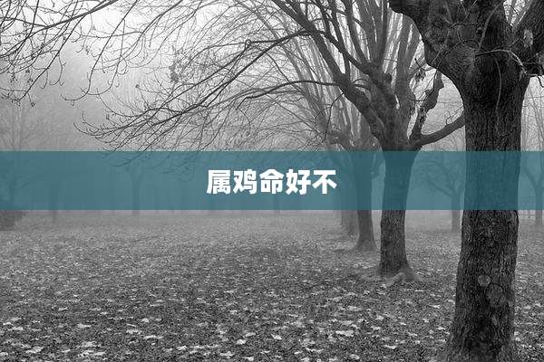 属鸡命好不