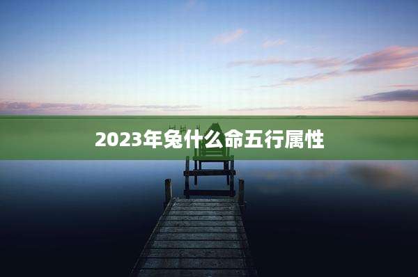 2023年兔什么命五行属性