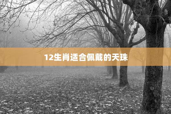 12生肖适合佩戴的天珠