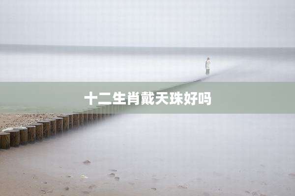 十二生肖戴天珠好吗
