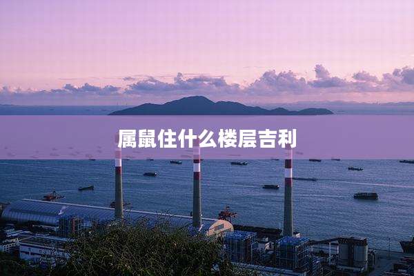 属鼠住什么楼层吉利
