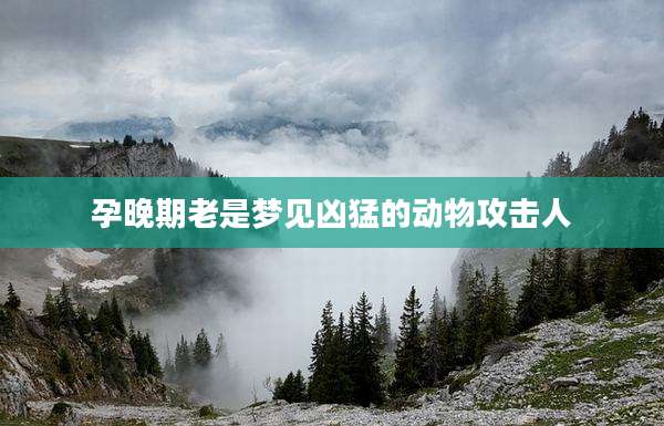 孕晚期老是梦见凶猛的动物攻击人