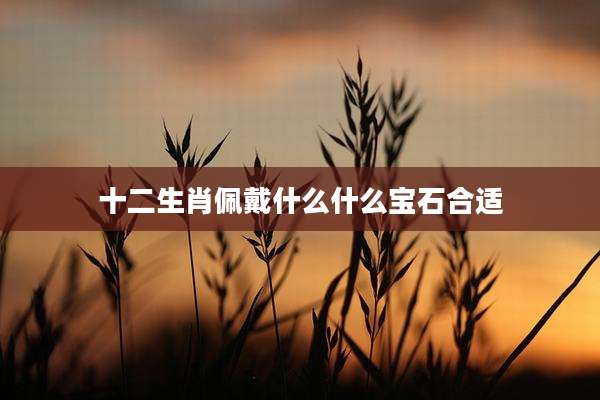 十二生肖佩戴什么什么宝石合适