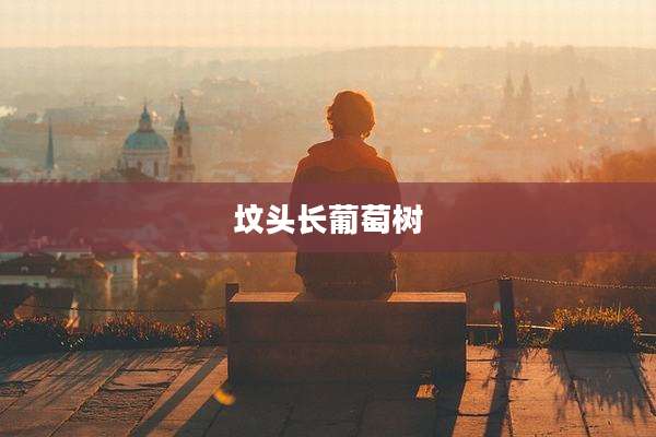 坟头长葡萄树