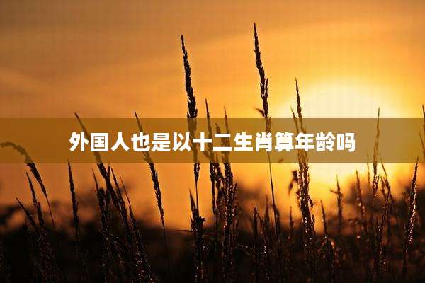 外国人也是以十二生肖算年龄吗