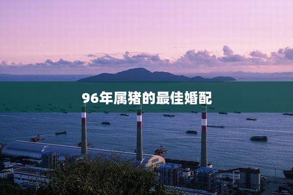96年属猪的最佳婚配
