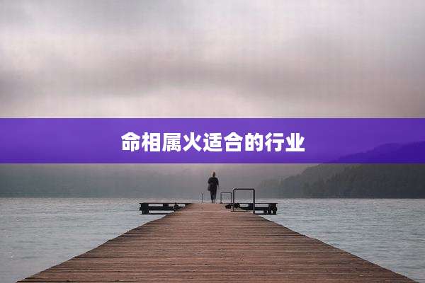 命相属火适合的行业