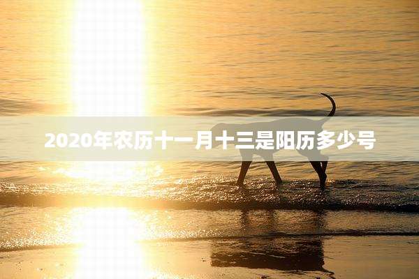 2020年农历十一月十三是阳历多少号