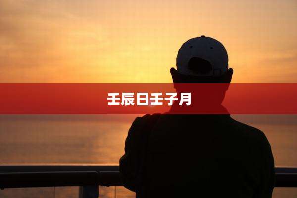 壬辰日壬子月