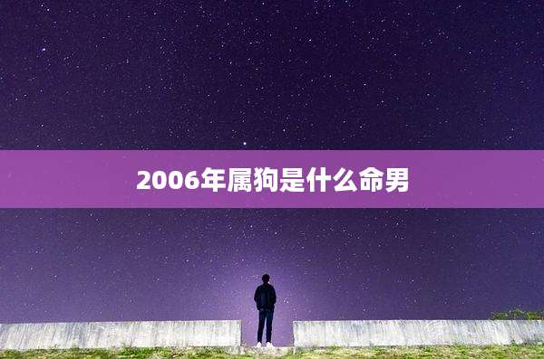 2006年属狗是什么命男