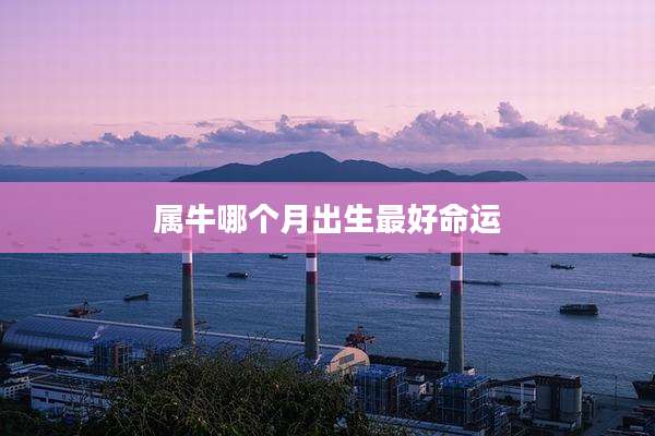 属牛哪个月出生最好命运